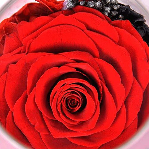 Real Rose in Glass